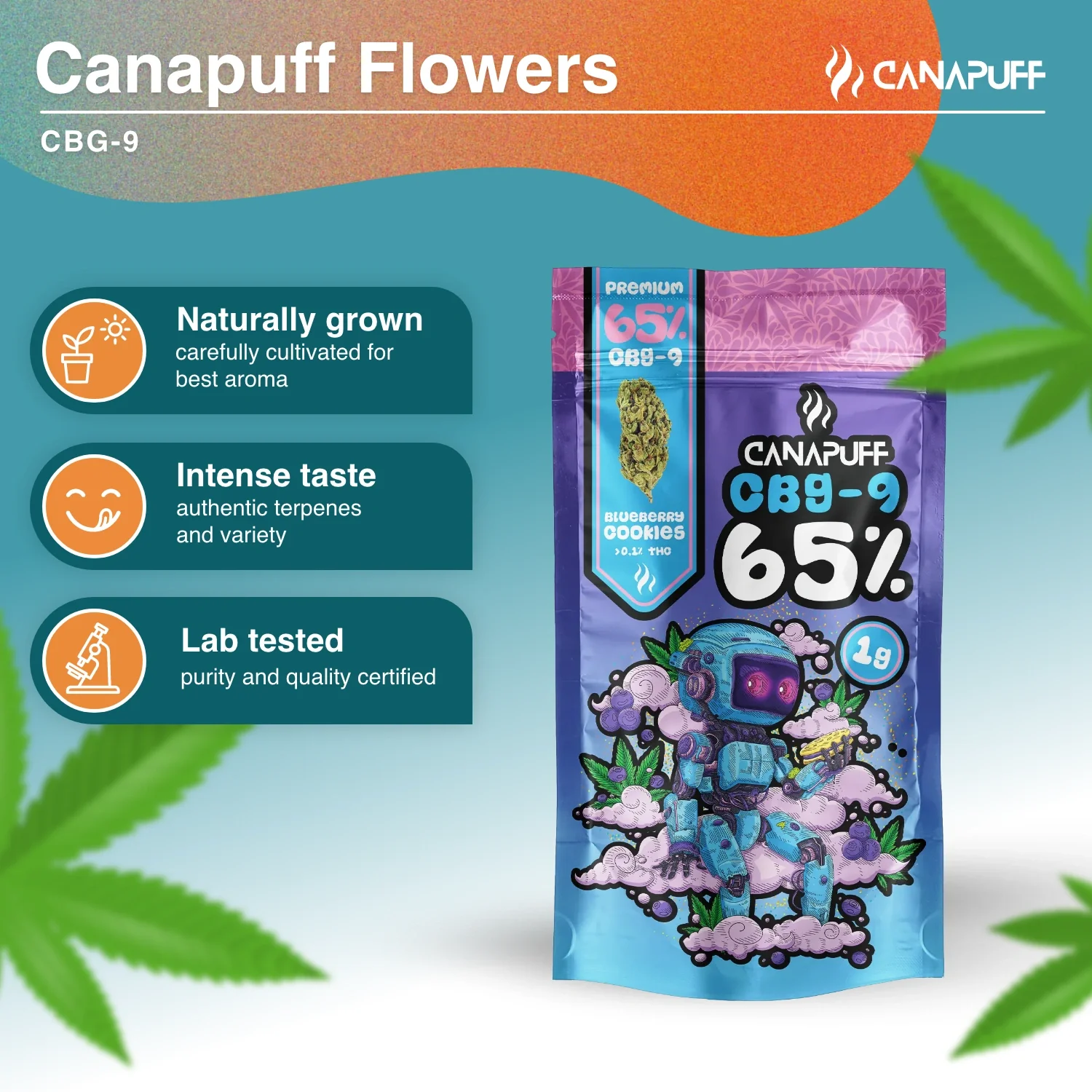 CBG9 Flores Blueberry Cookie 65% - Image 2