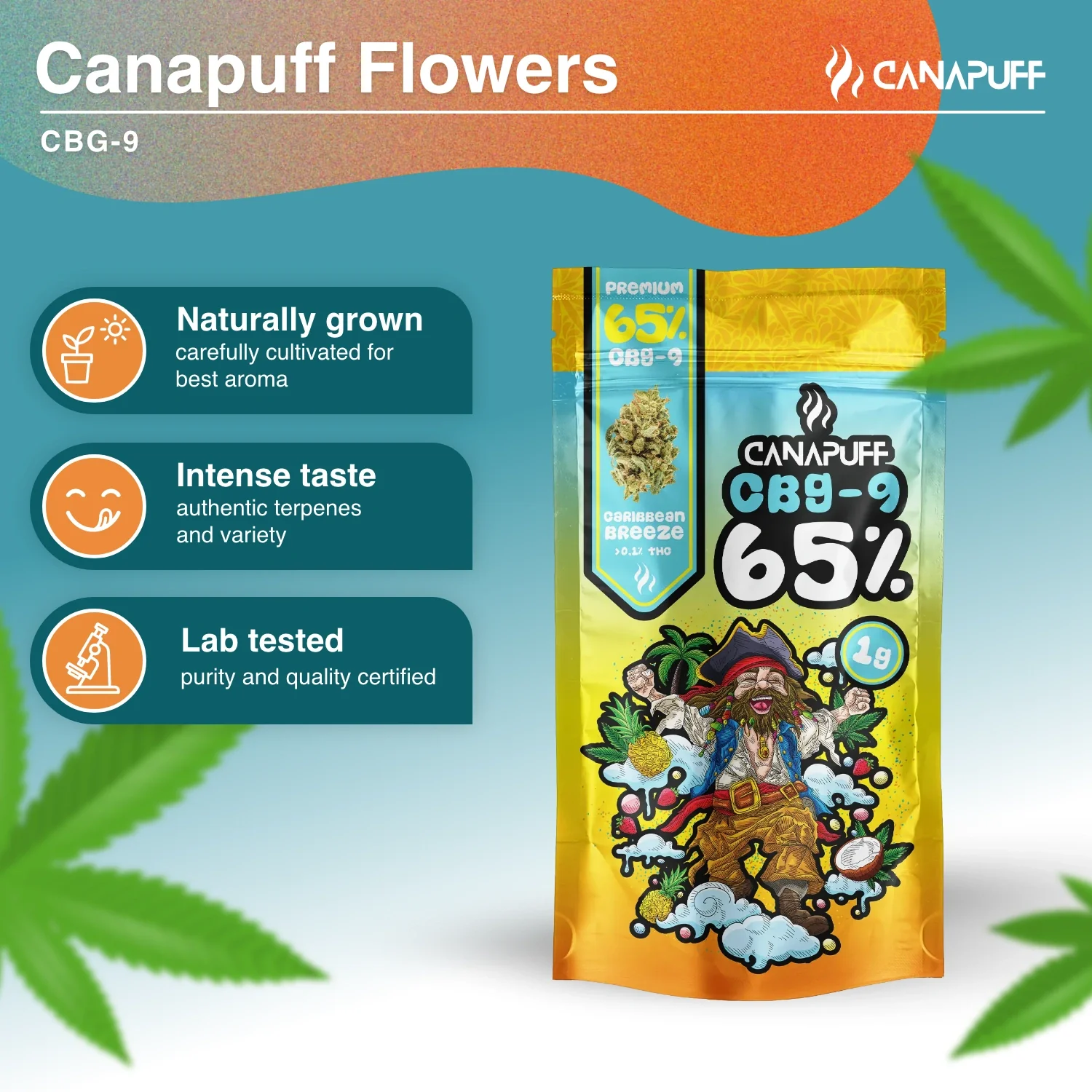 CBG9 Flores Caribbean Breeze 65% - Image 2