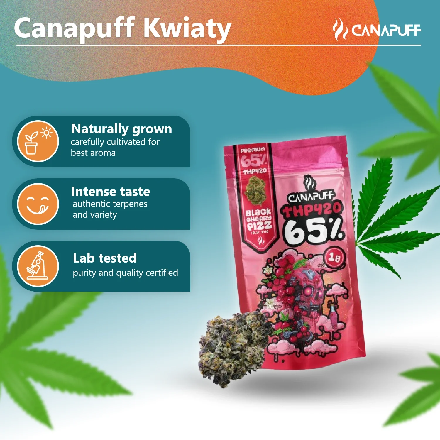 THP420 Flores Fizz de Cereja Preta 65% - Image 3