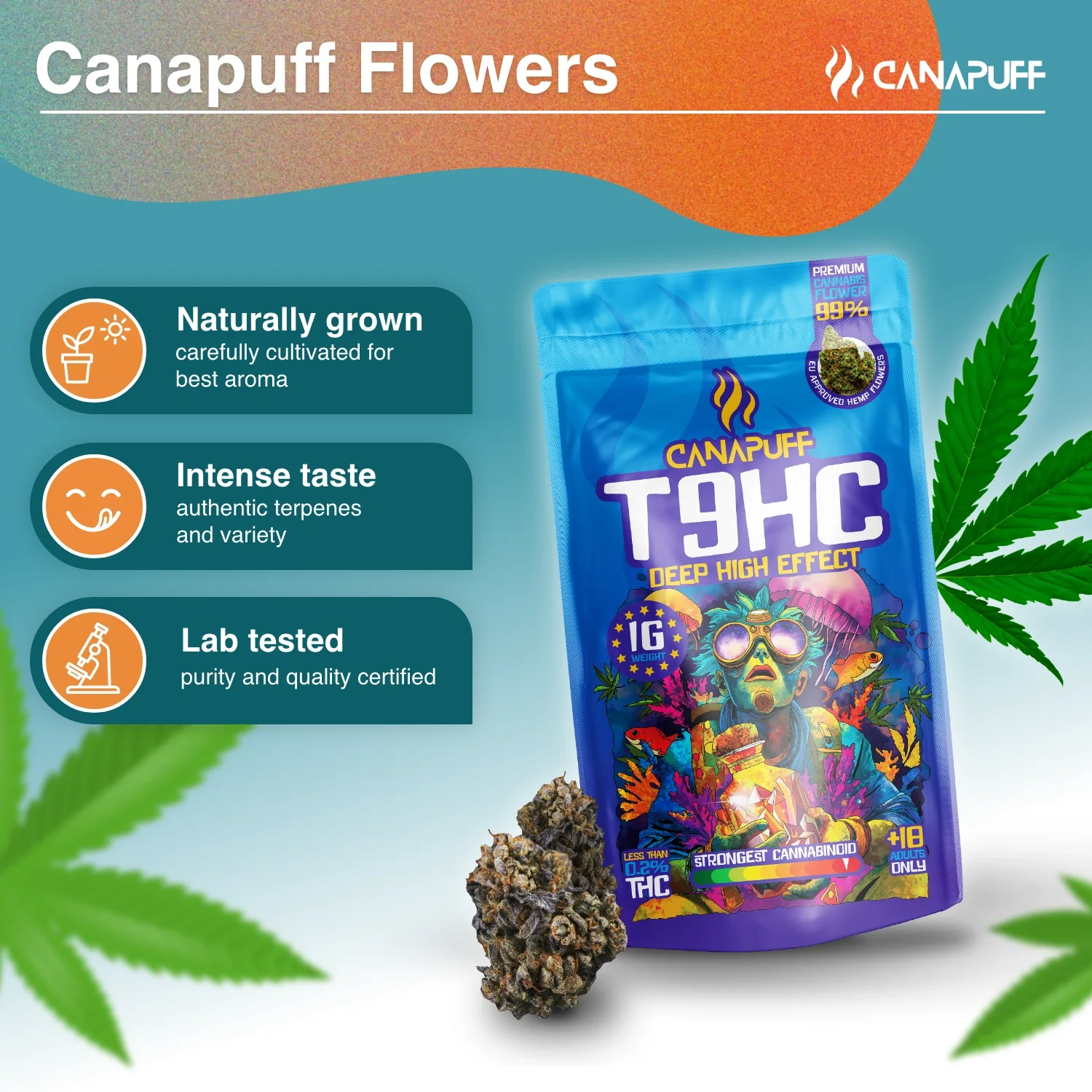 T9HC Flores Deep 99% - Image 2