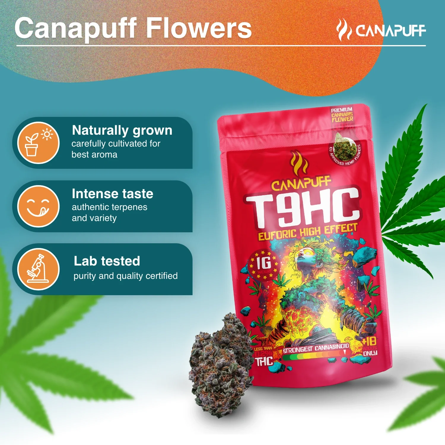 T9HC Flores Euforic 99% - Image 2
