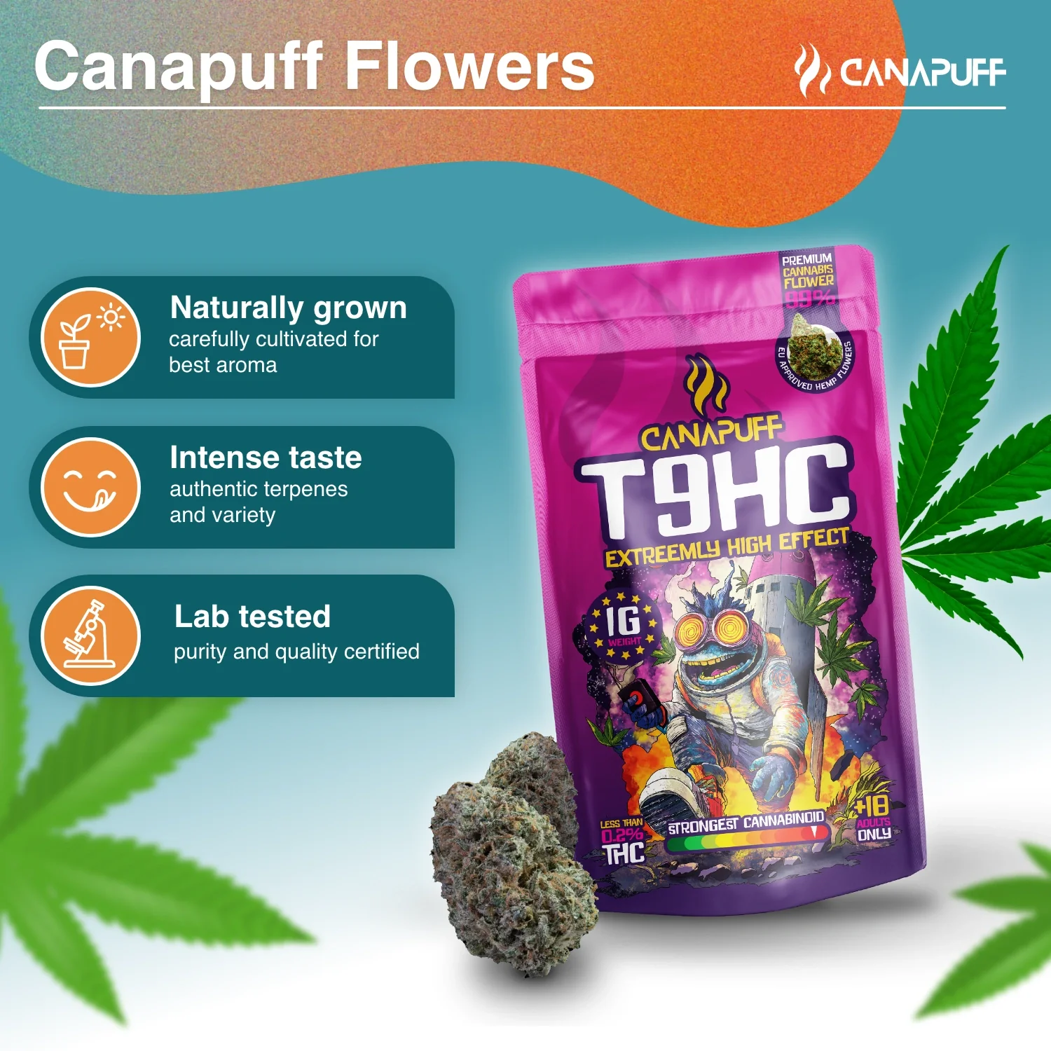 T9HC Flores Extreemly 99% - Image 2