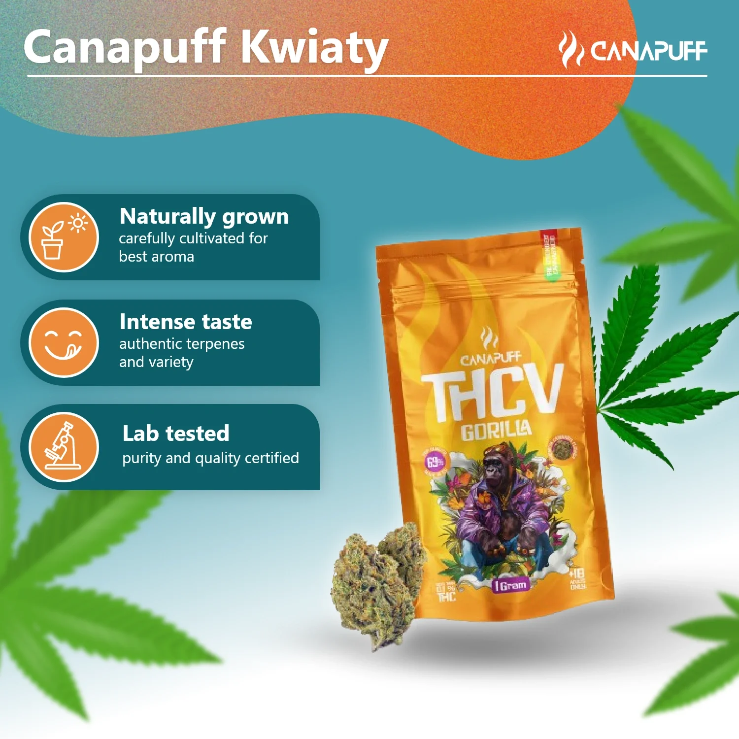 THCv Flores Gorila 69% - Image 3