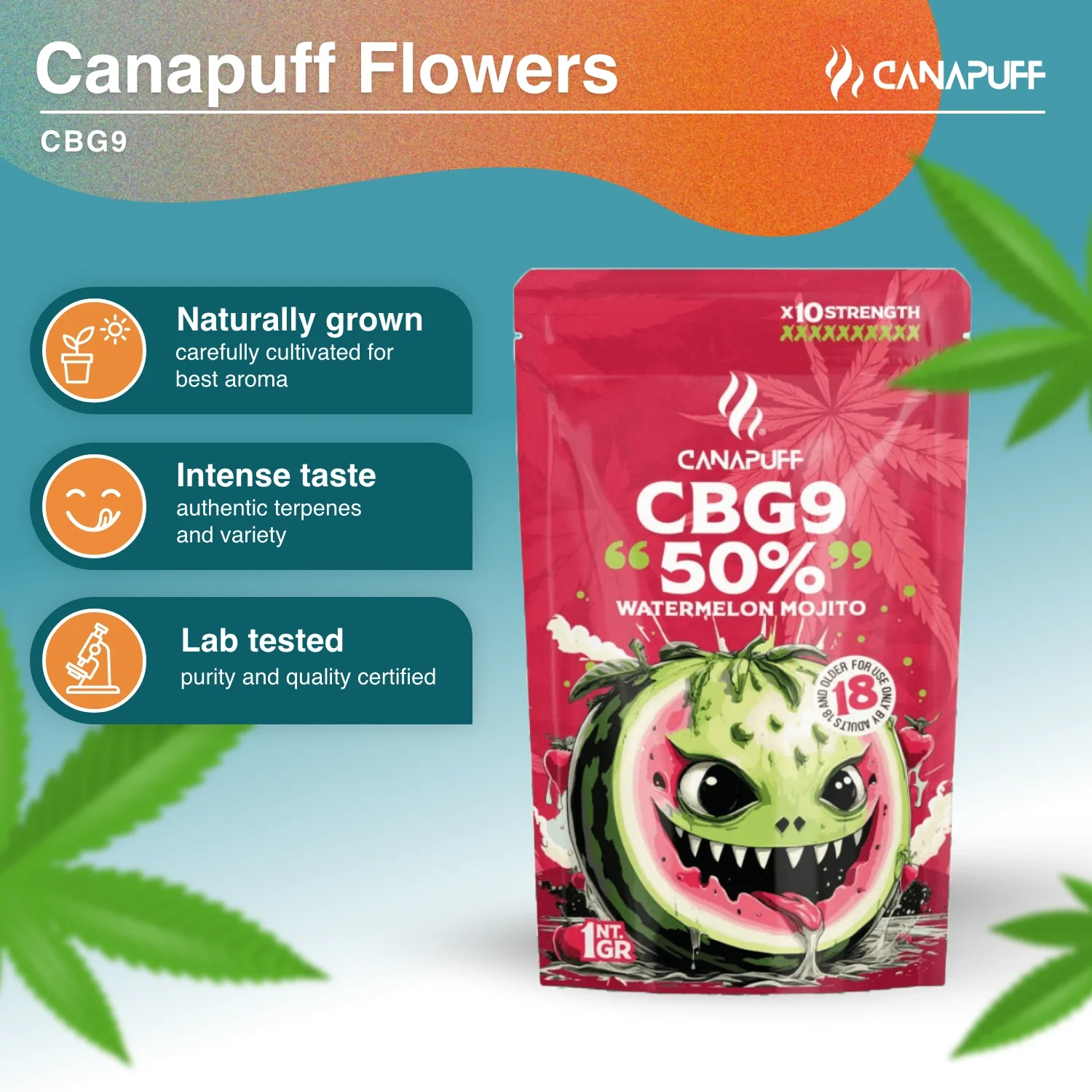 CBG9 Flores Watermelon Mojito 50% - Image 2