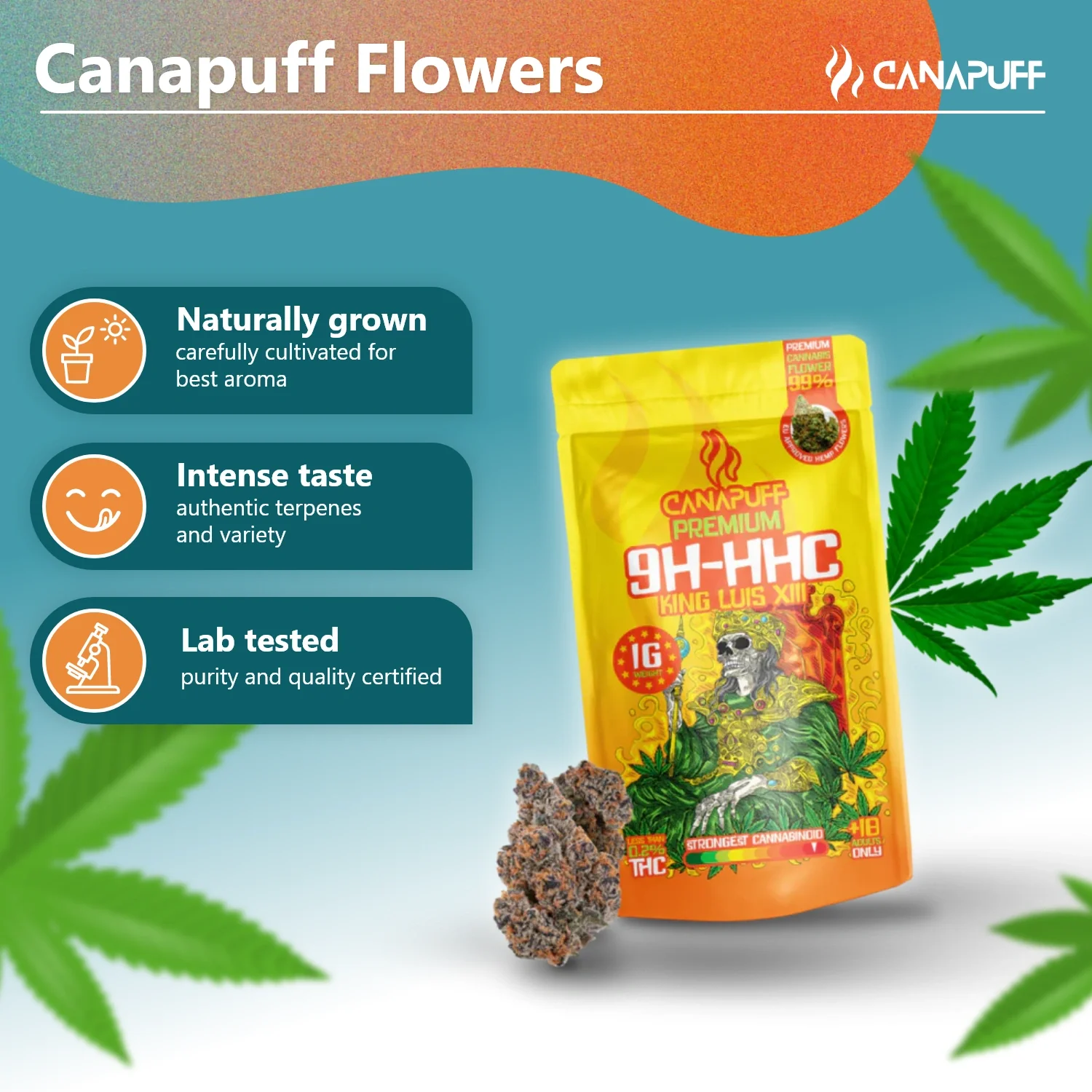 Canapuff - King Luis XIII 99% - Flores 9H-HHC - Image 2