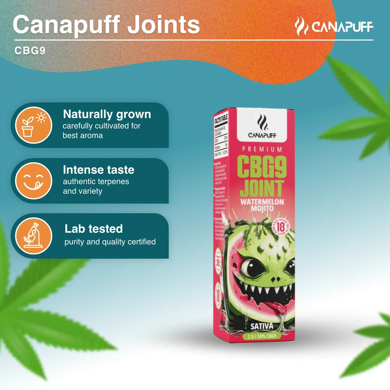 CBG9 Joint Watermelon Mojito 50% 2g - Image 2