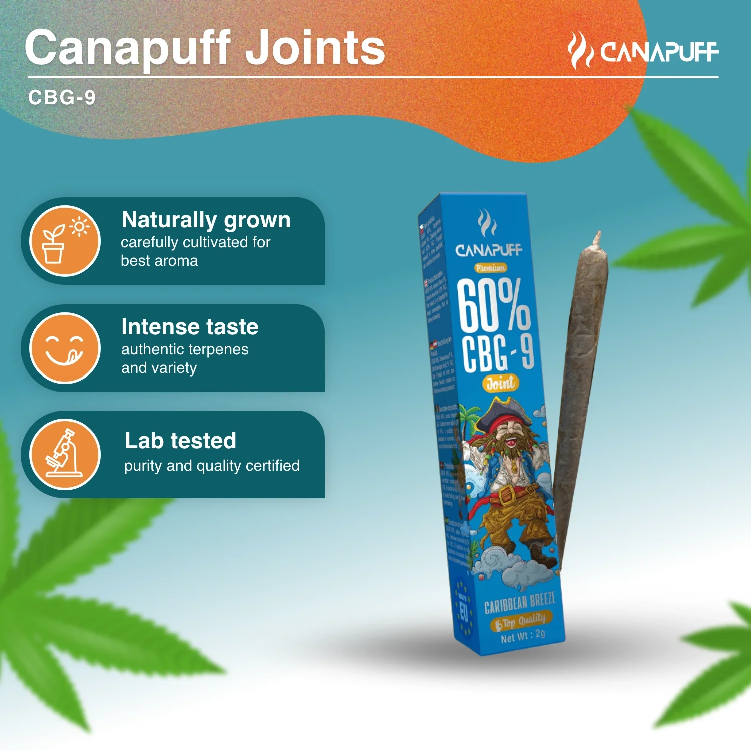 CBG9 Joint Caribbean Breeze 60% - Image 2