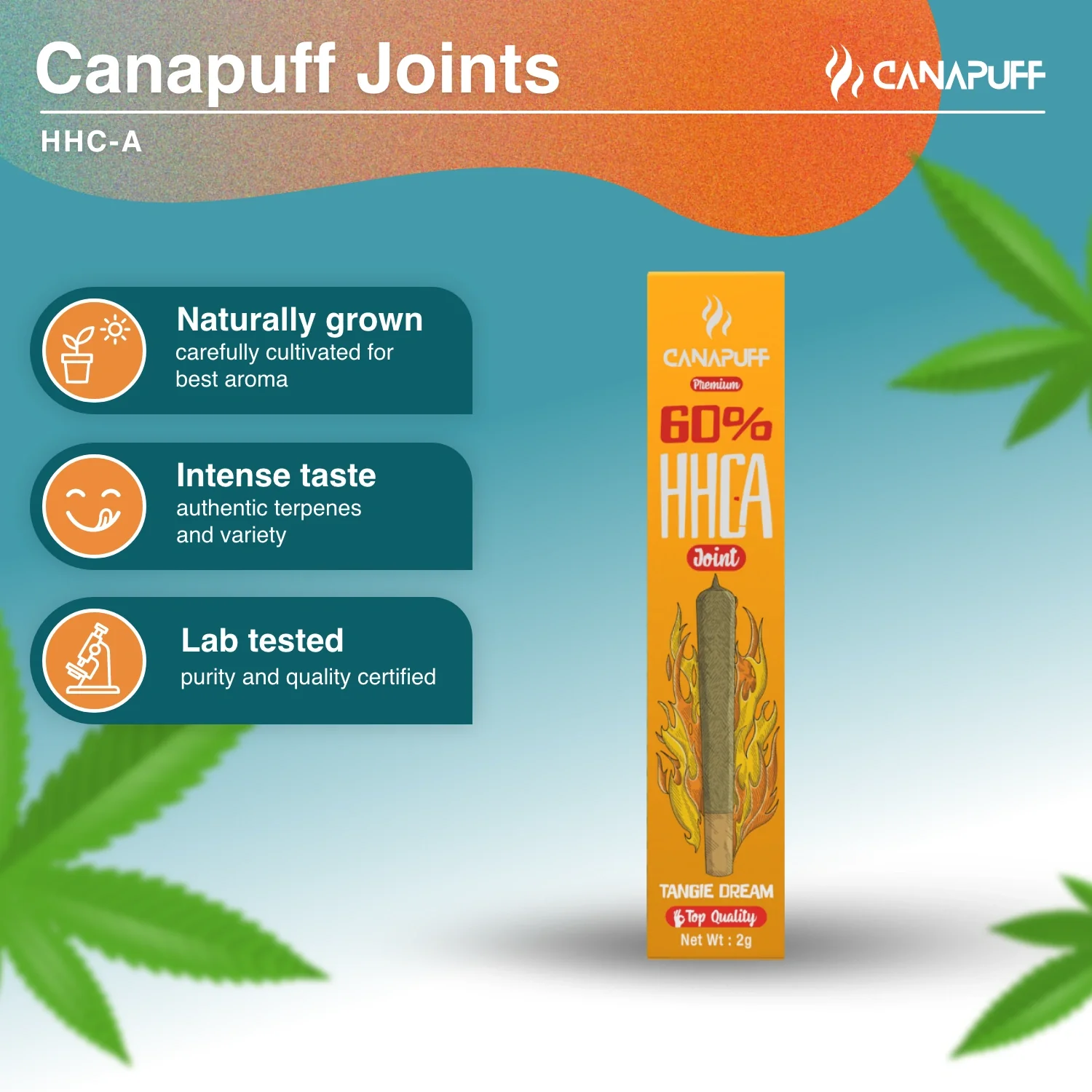 HHC-A Joint Tangie Dream 60% - Image 2